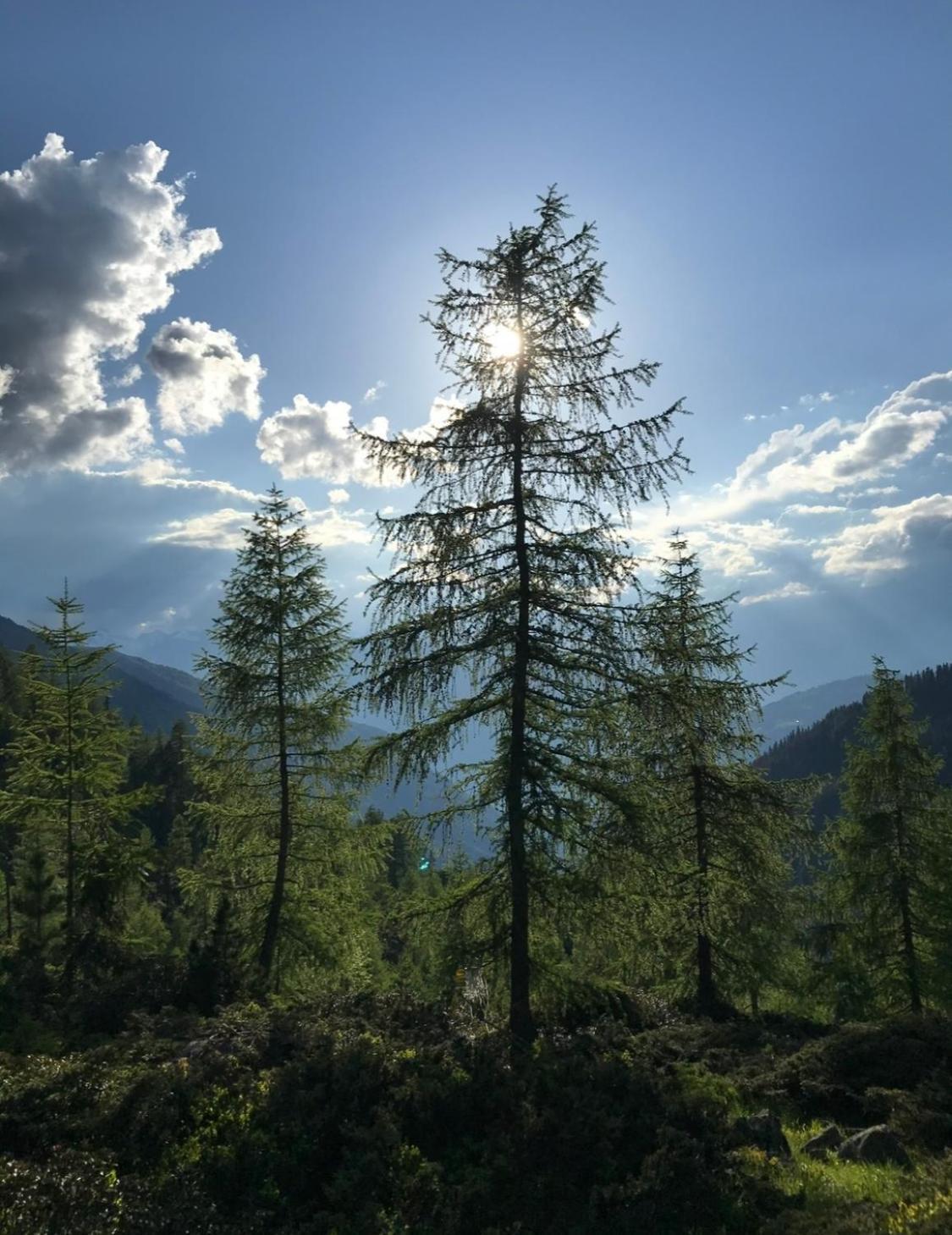 Apart Sonnenheim Kaunertal Exterior foto